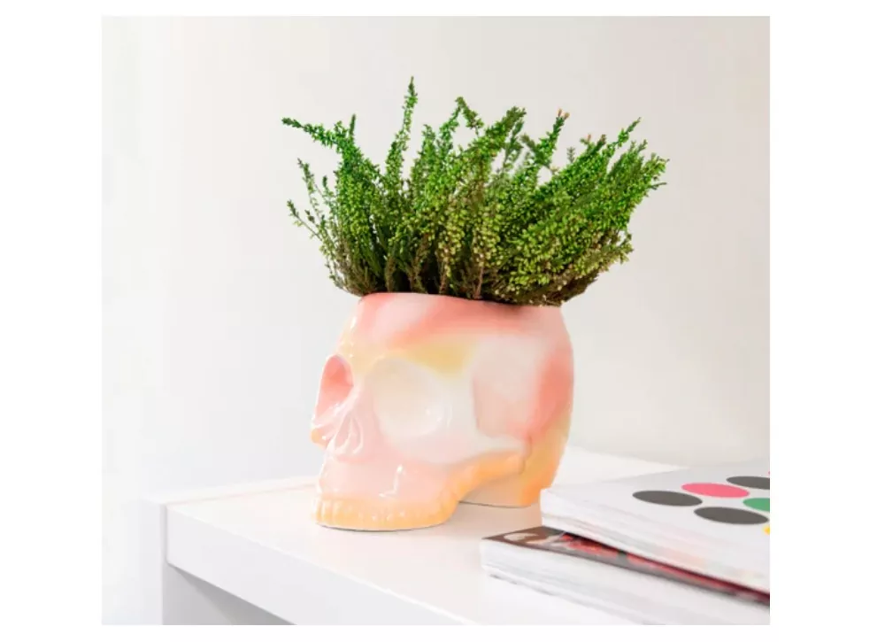 Macetero calavera rosa degradado PINK Macetero calavera rosa degradado PINK