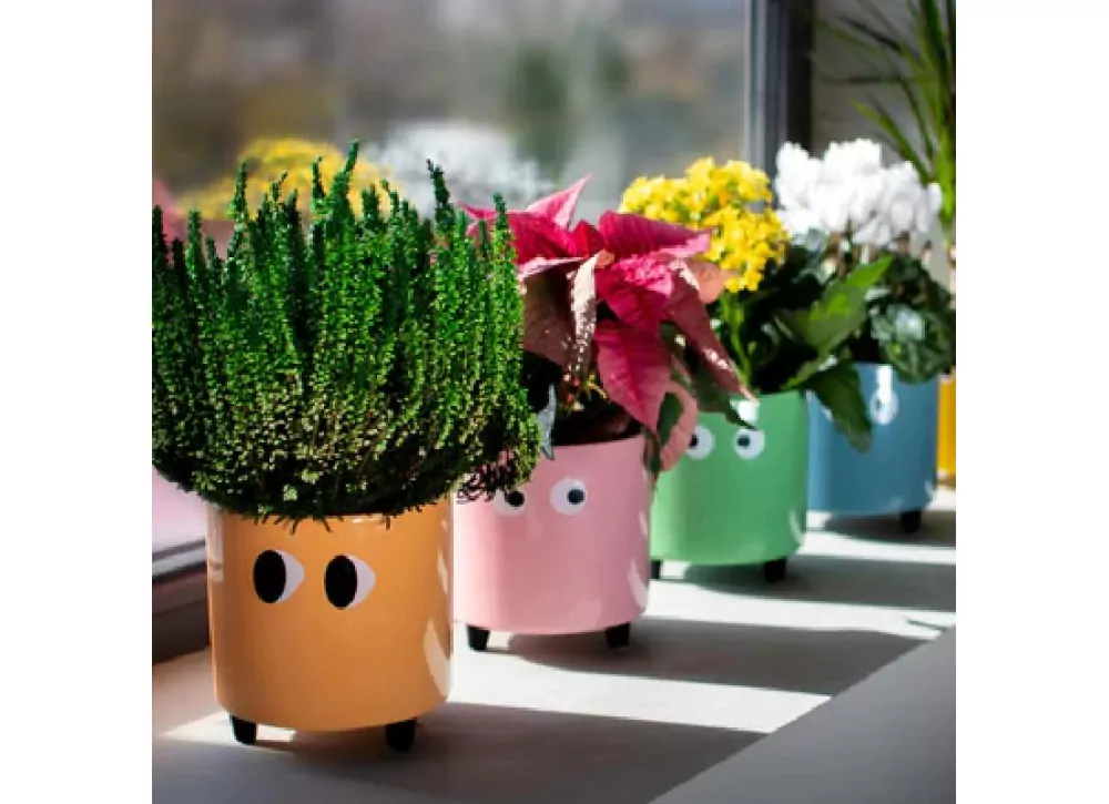 Maceteros com olhos TAMPERE