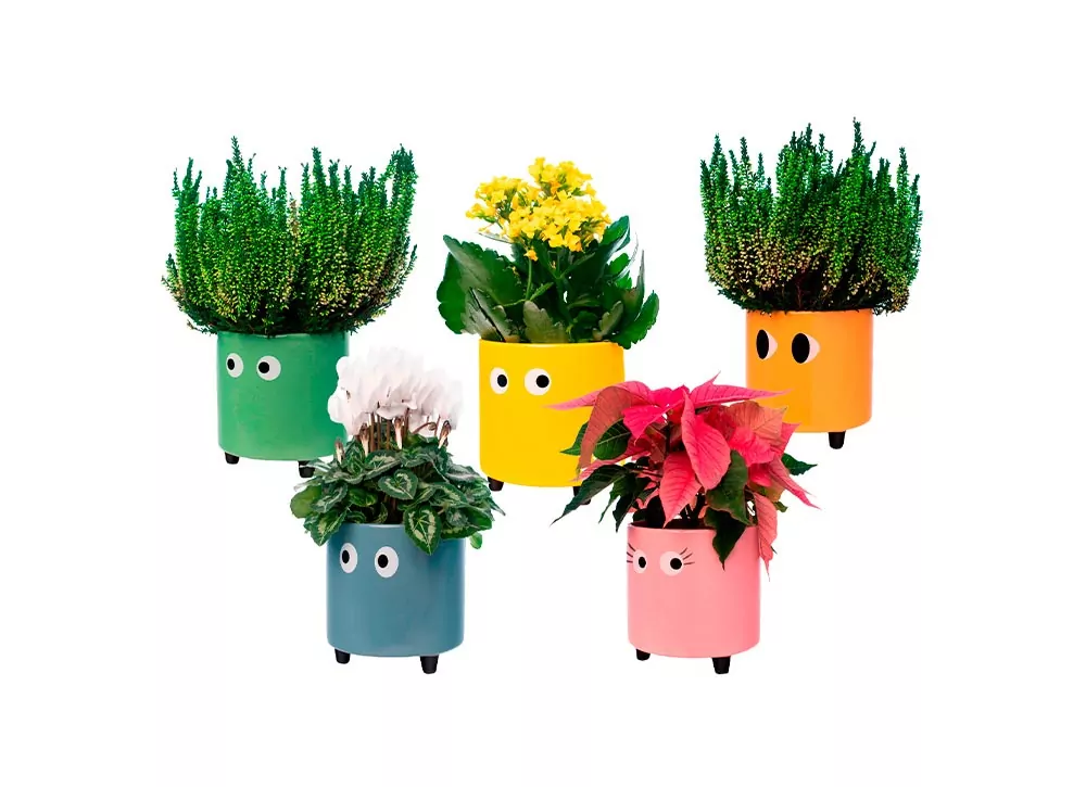 Maceteros com olhos TAMPERE