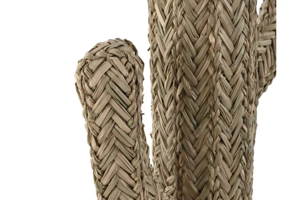 Decoração Cacto VAKO