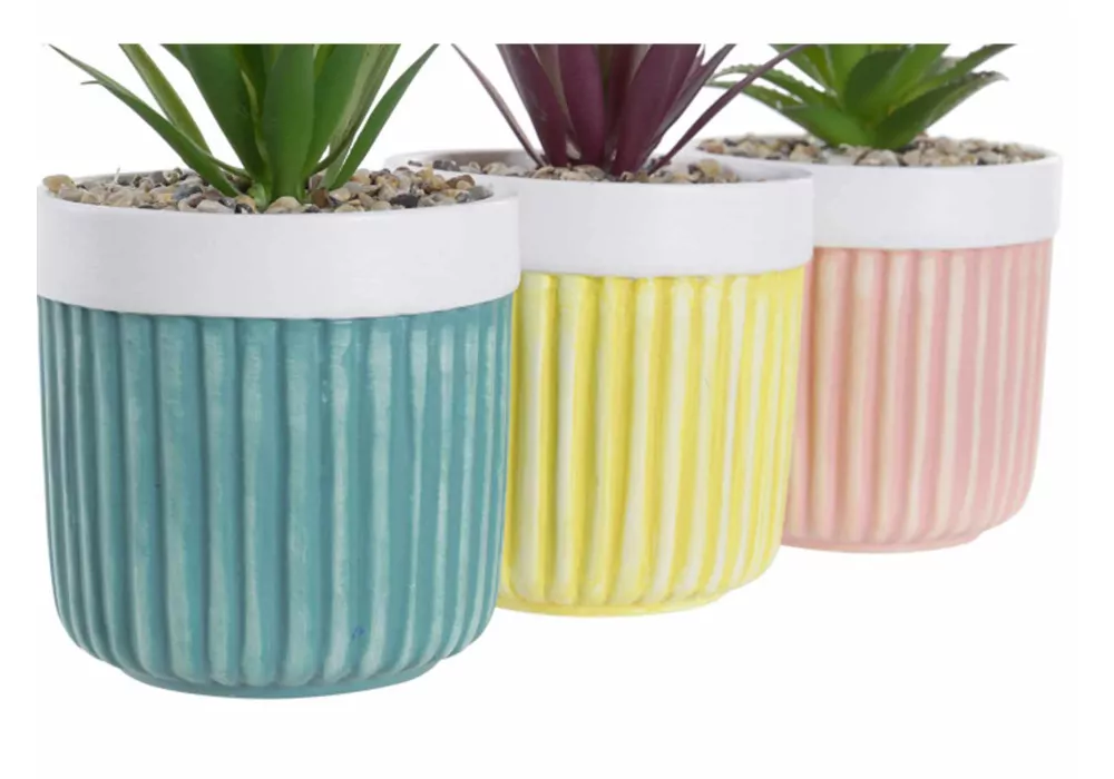 Macetero de gres con planta LAX Macetero de gres con planta LAX