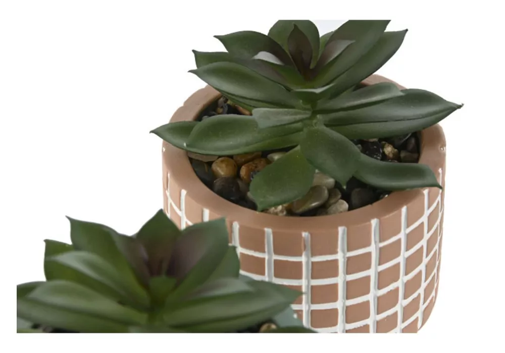 Macetero con planta KIRAO Macetero con planta KIRAO