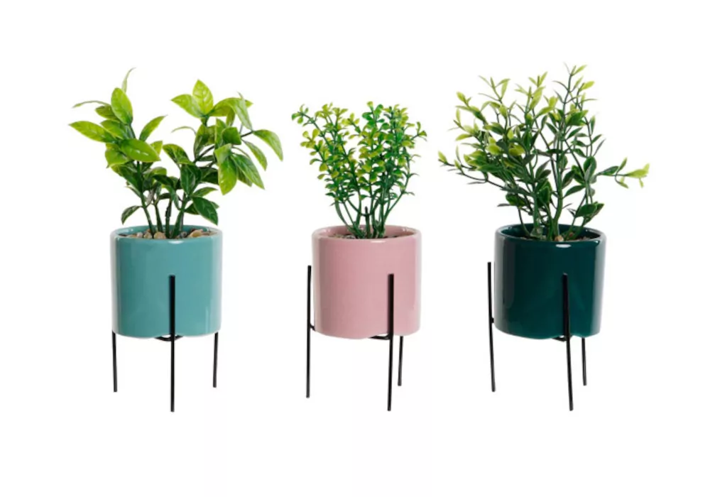 Macetero de colores con planta KORO Macetero de colores con planta KORO